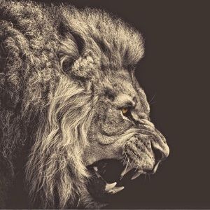 Meet your Posher, Pablo